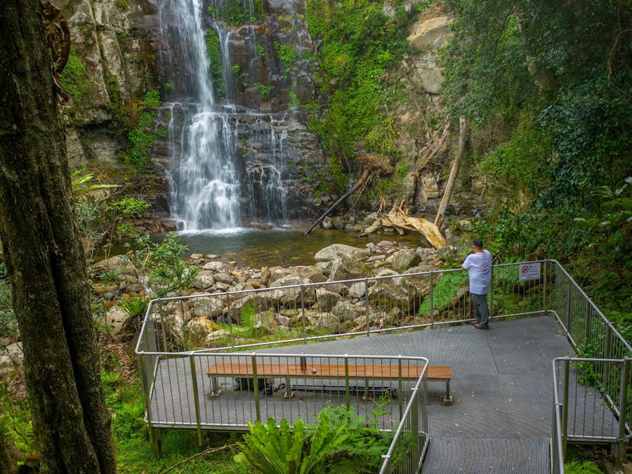 The Falls Walk, Budderoo National Park - Destination Kiama