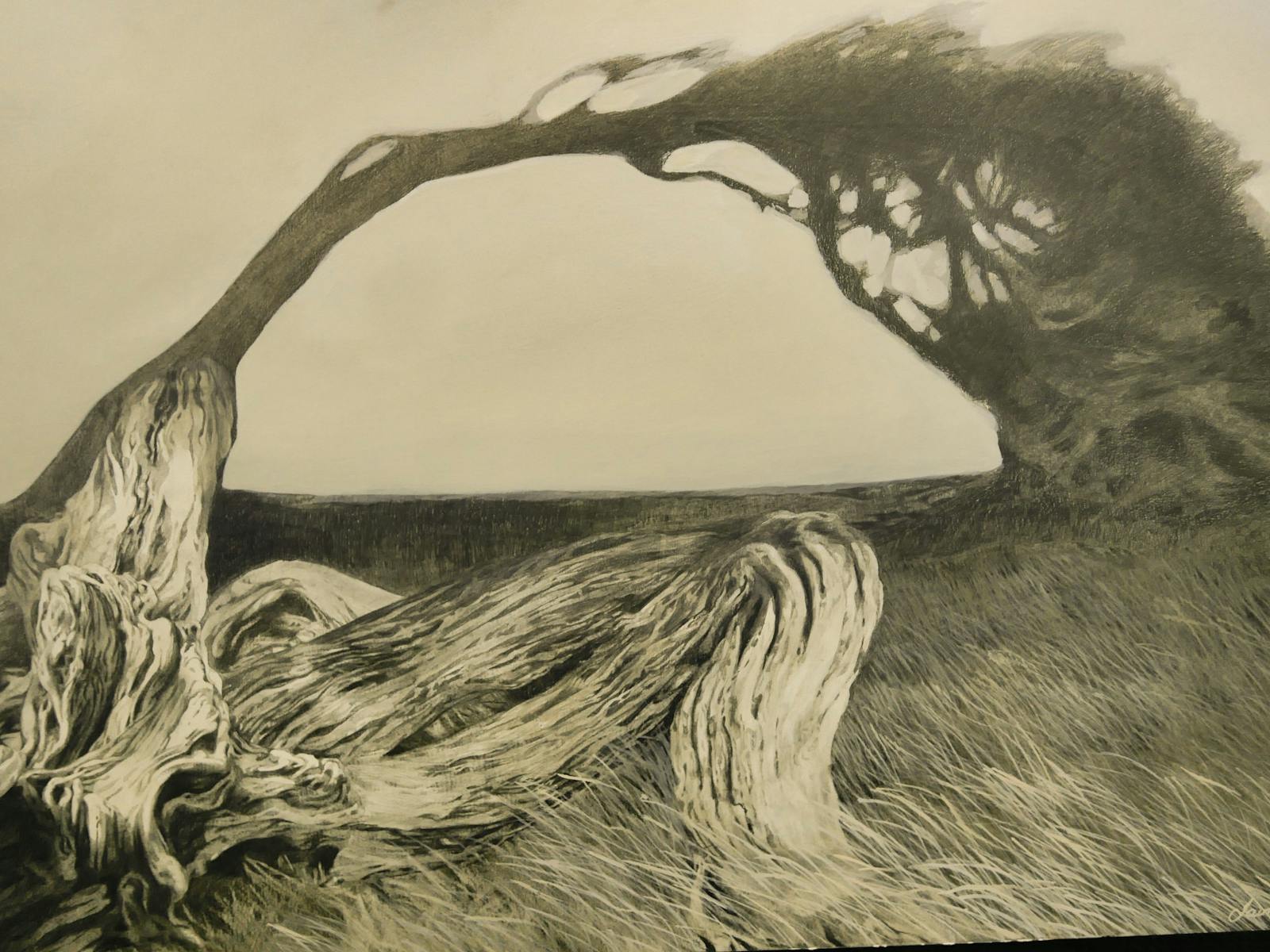 Image for Karatta Wines Southern Ocean Art Prize - Robe