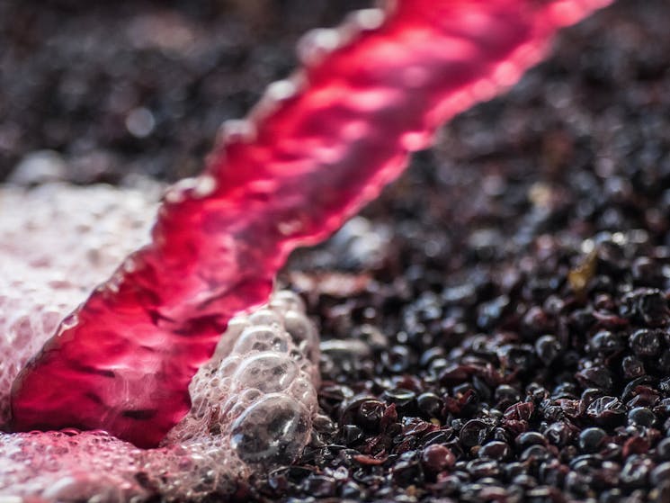 Red wine is pumped over grape skins.