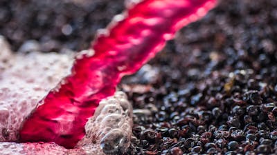 Red wine is pumped over grape skins.