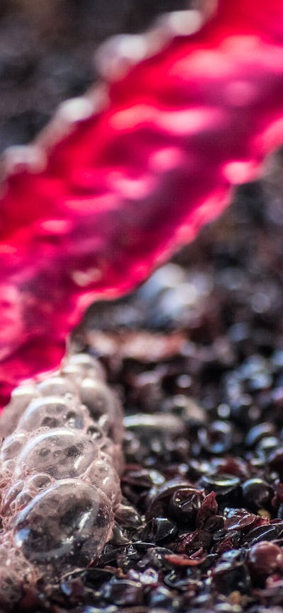 Red wine is pumped over grape skins.