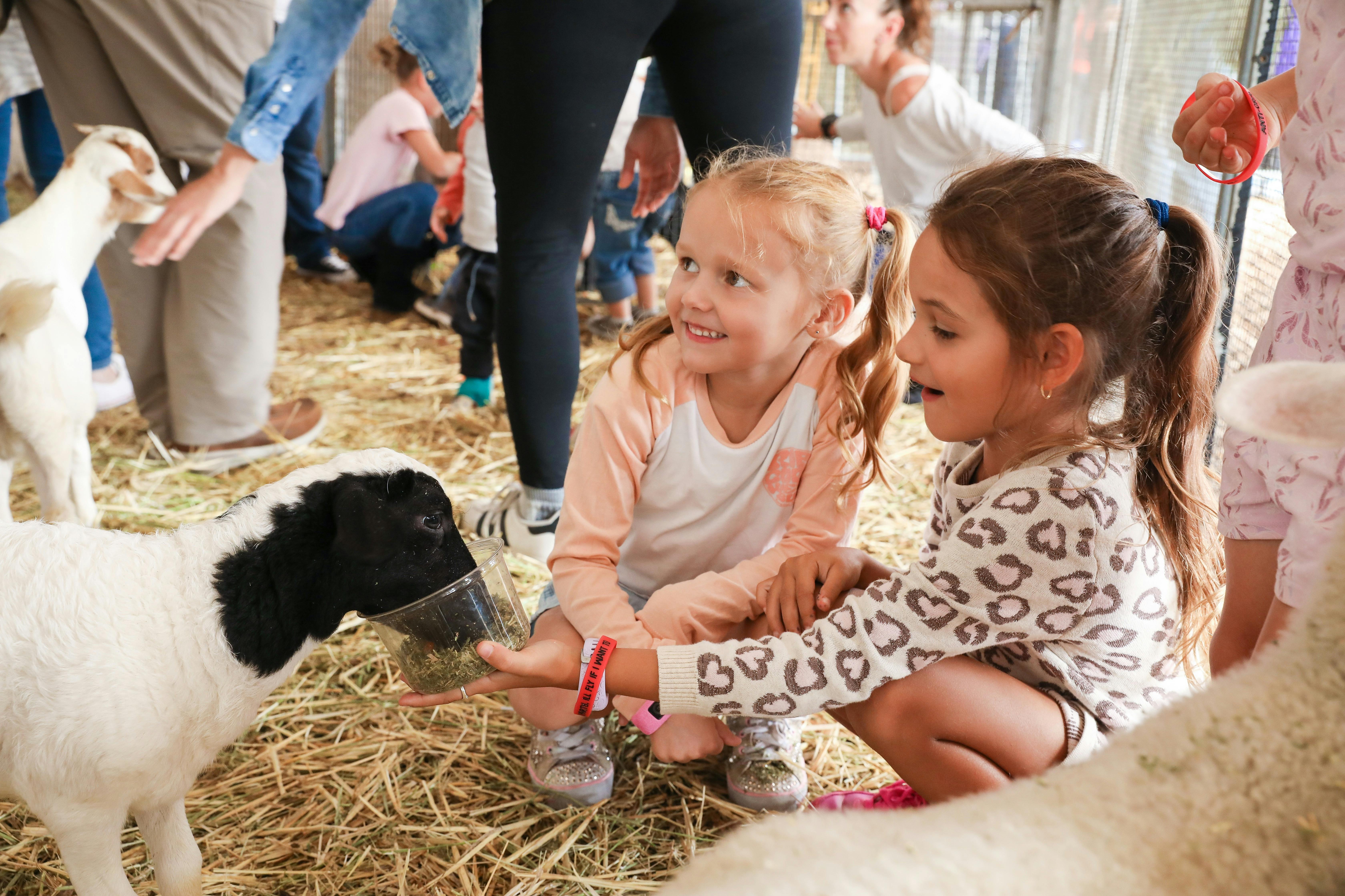 Animal Nursery to pet your furry friends!