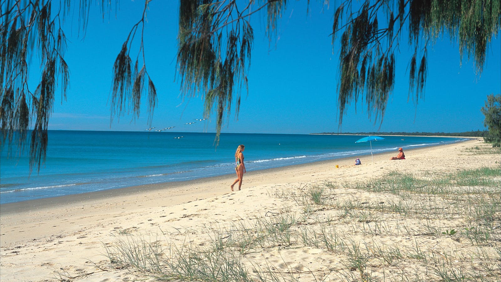 Five Family Friendly Beaches In One Day