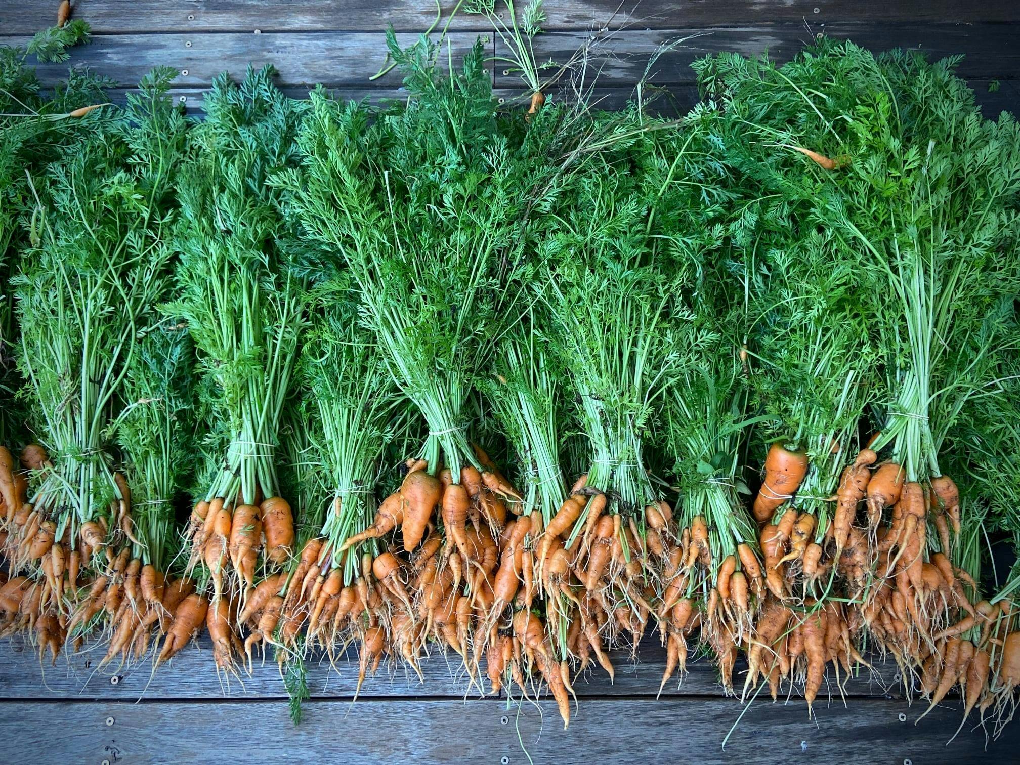 Made in Araluen Markets