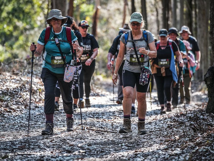 People hiking through Olney State Forest for Kokoda Challenge Lake Macquarie