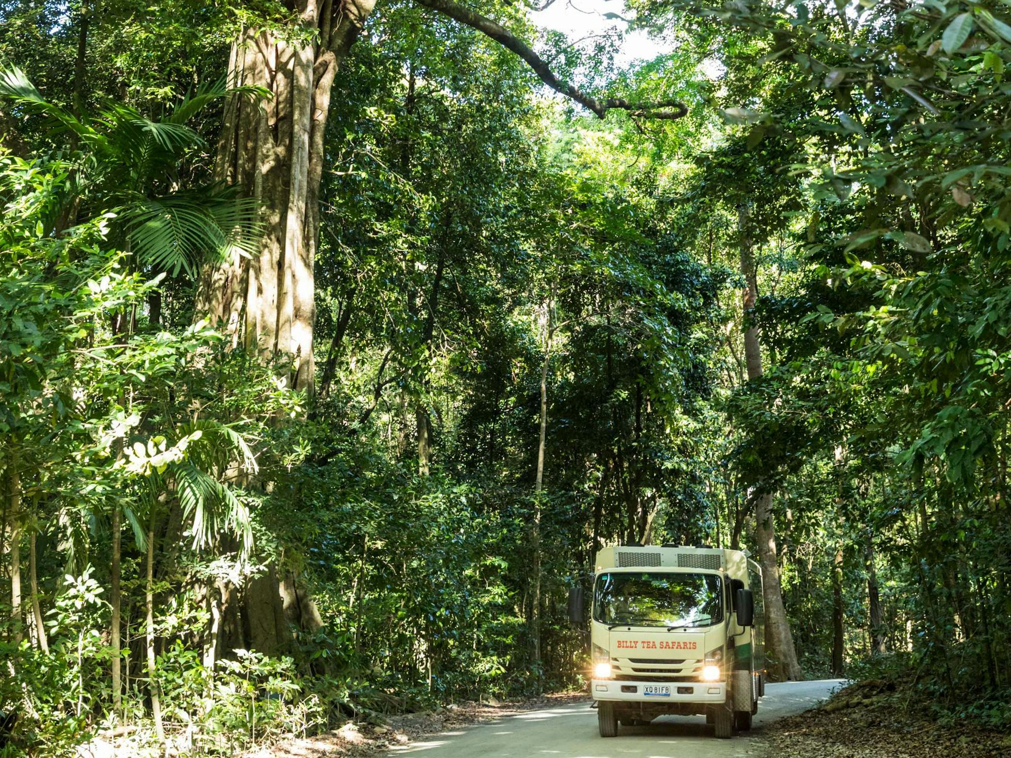 Billy Tea Safaris Tour Vehicle in the Daintree Rainforest Billy Tea Safaris Tour Vehicle in the Daintree Rainforest