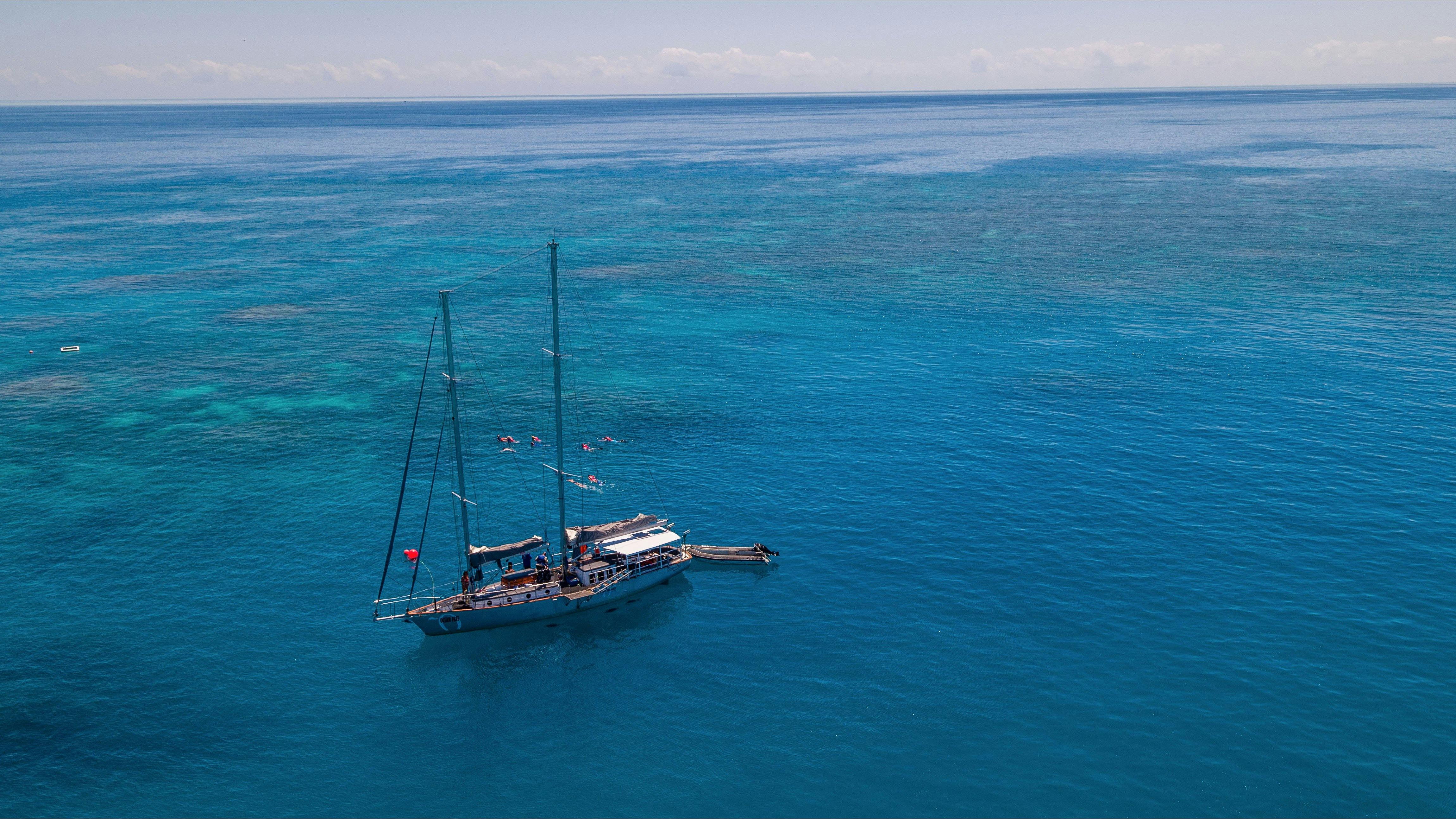 Ocean free guests snorkelling on "Pinnacle Reef "