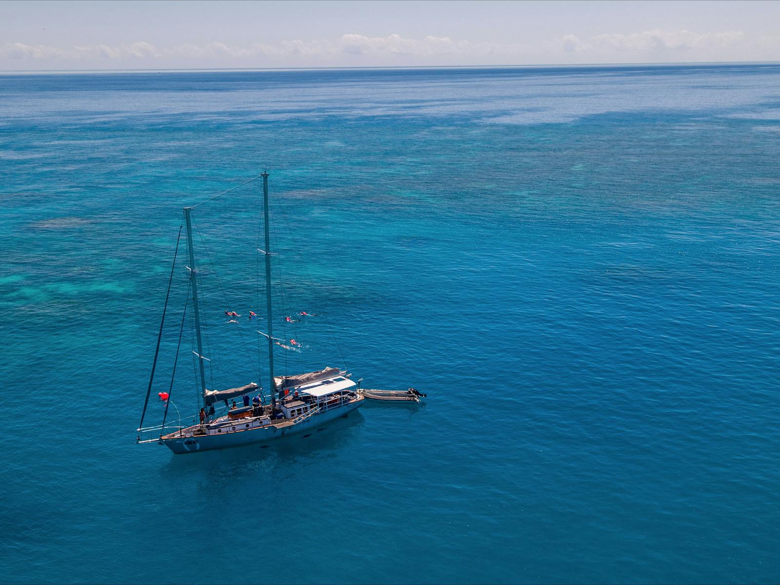 Ocean Free guests snorkel on exclusive reef site