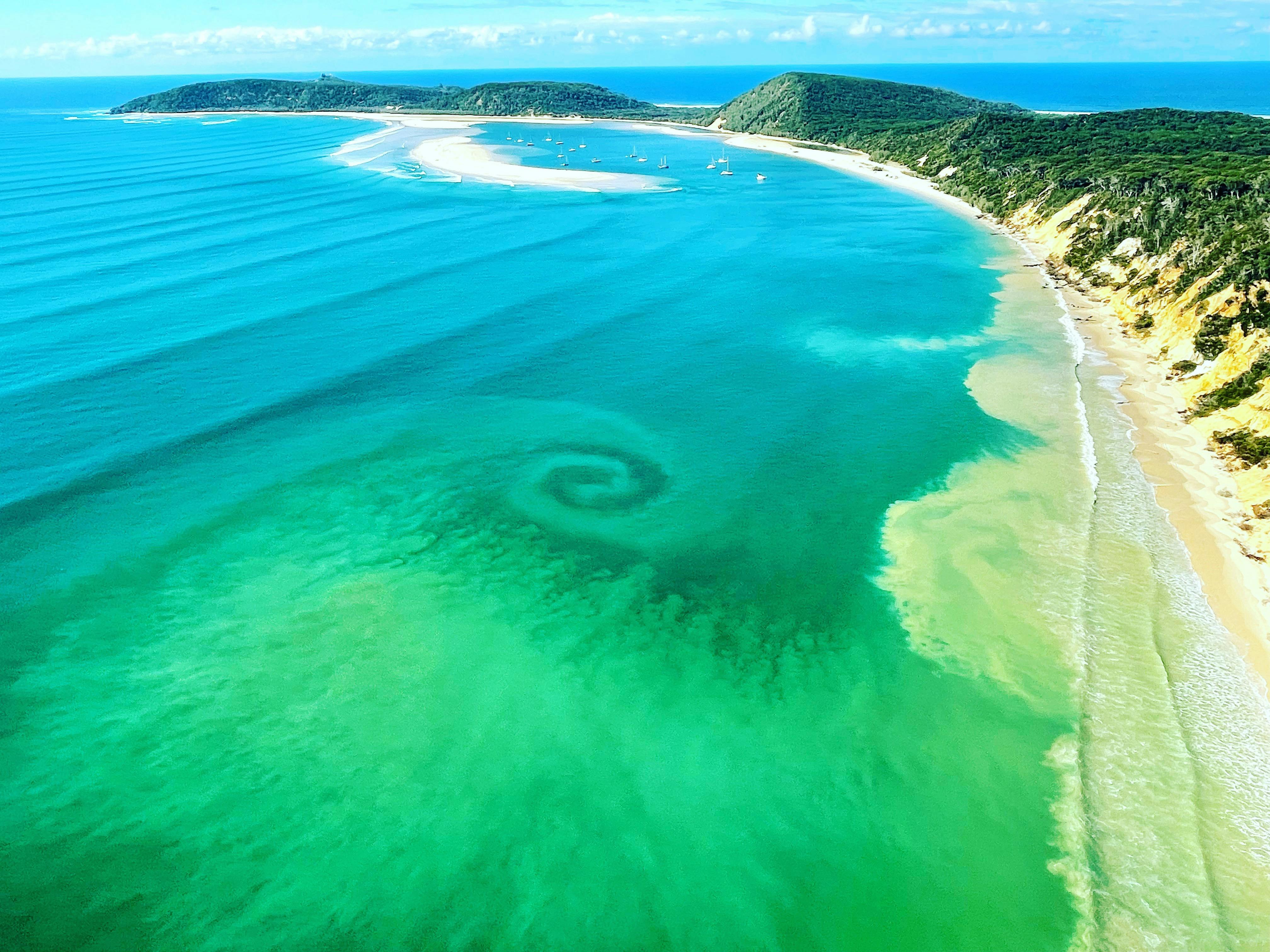 Symbolic Koru forming on our coasline