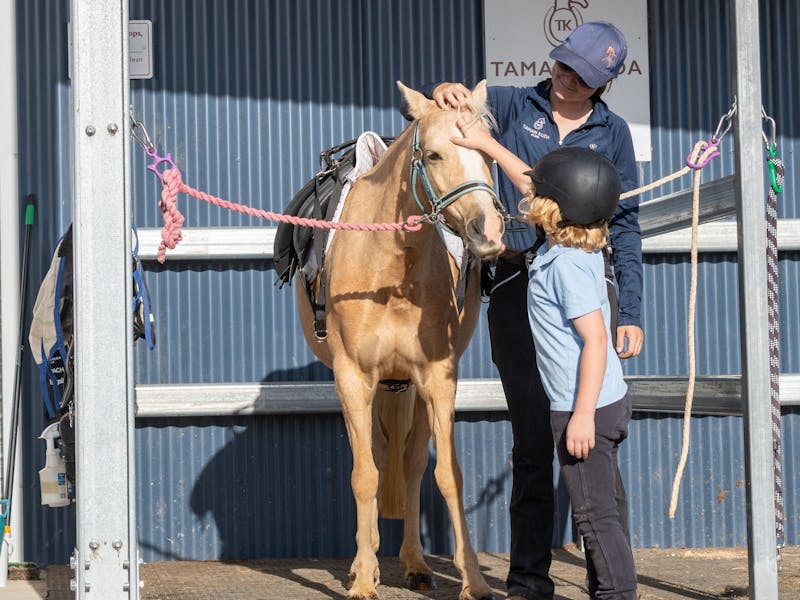 Image for Taman Kuda Club