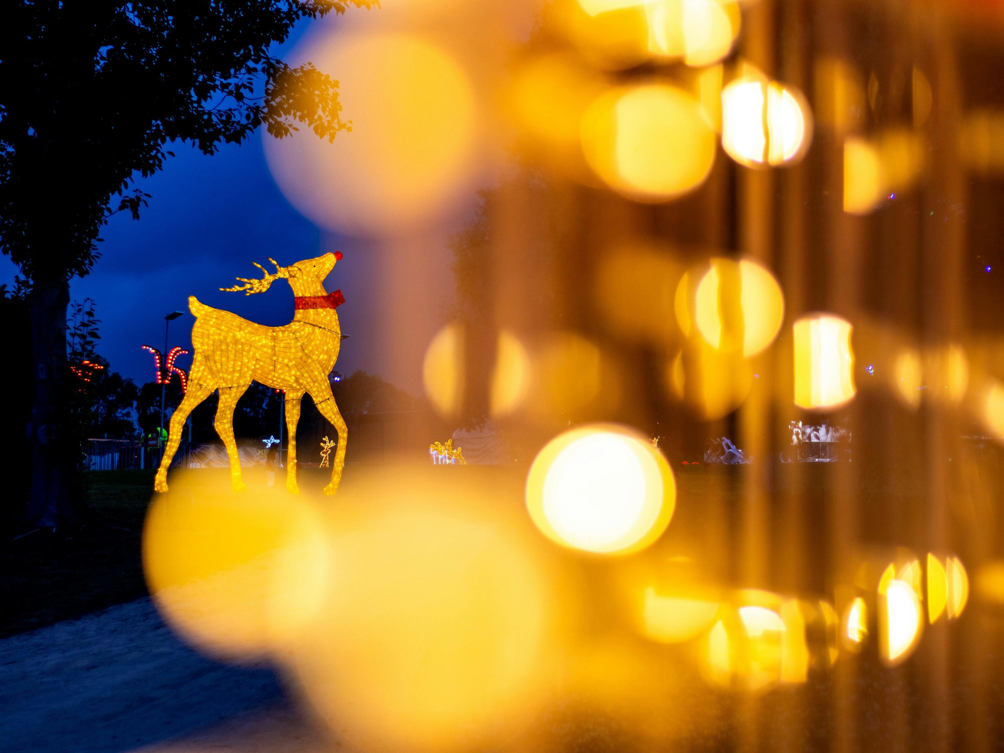 New Year's Eve at Hunter Valley Gardens