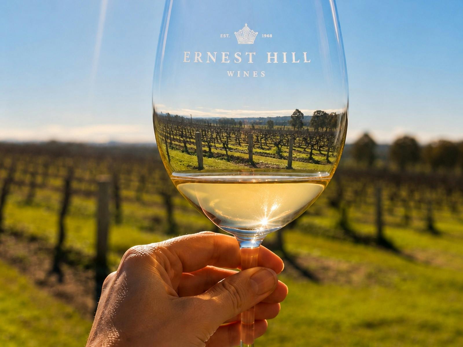 Our vineyard