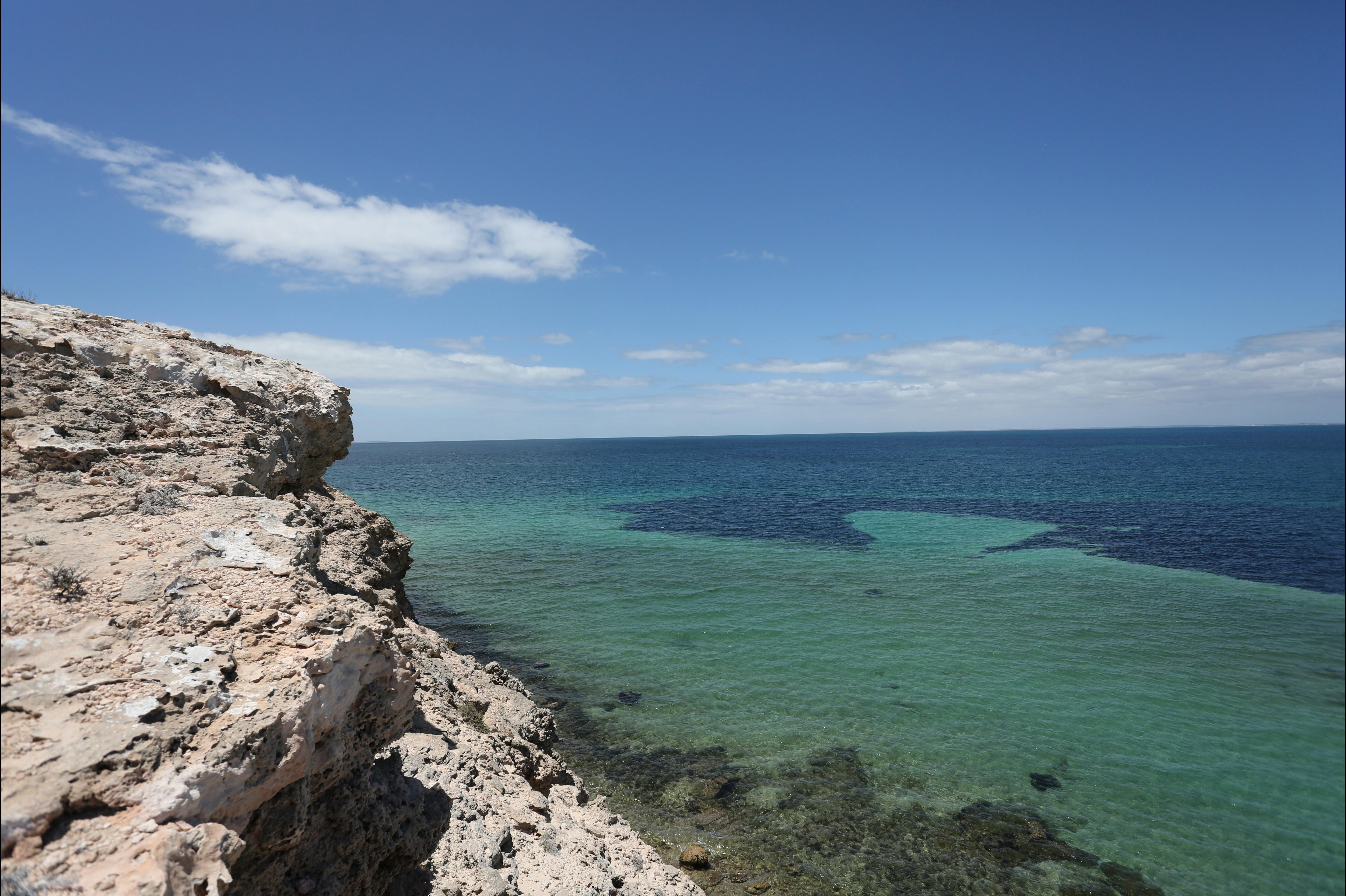 Shark Bay Coastal Tours, Denham, Western Australia
