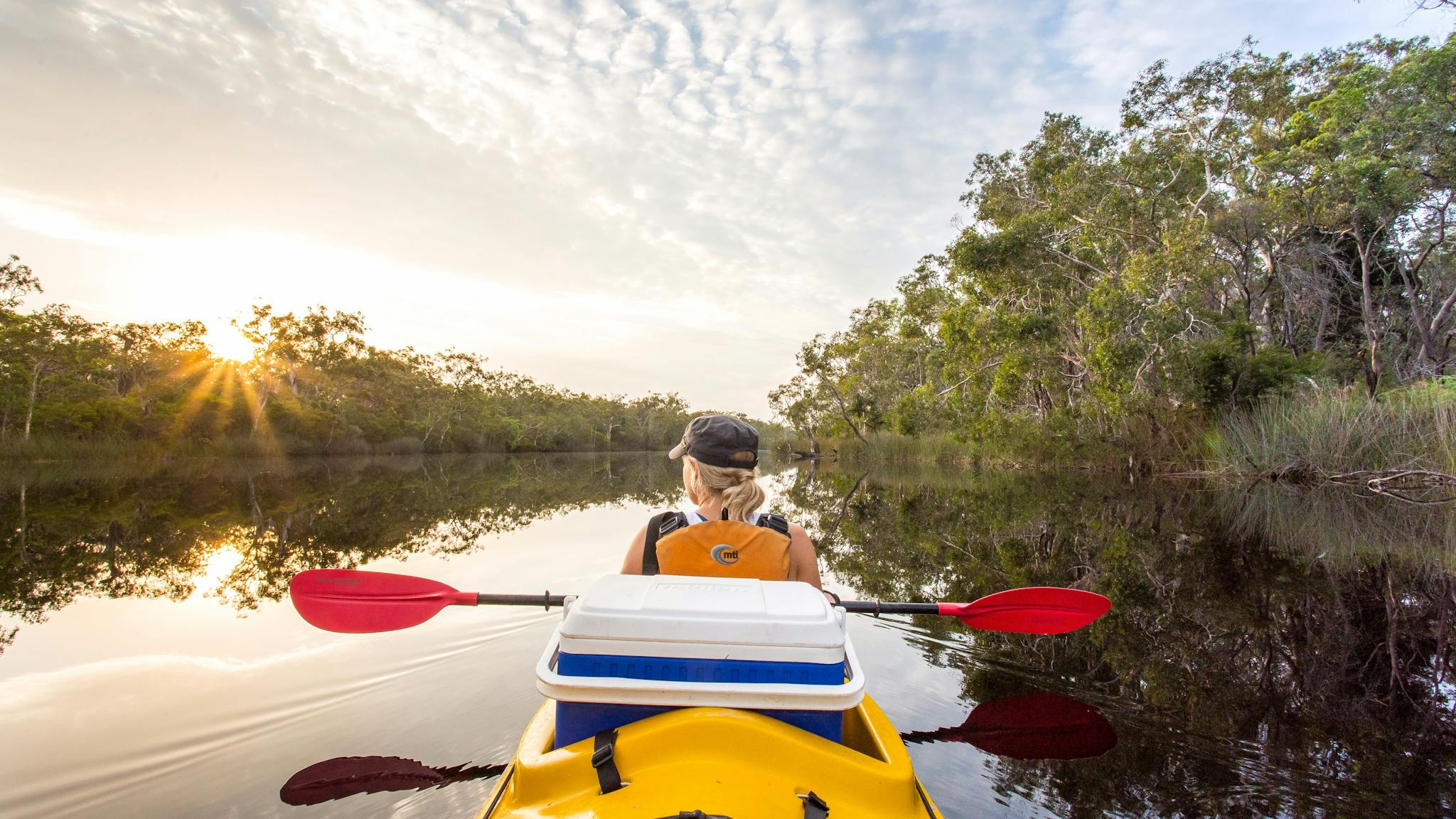 Upper Noosa River- Noosa Everglades Upper Noosa River- Noosa Everglades