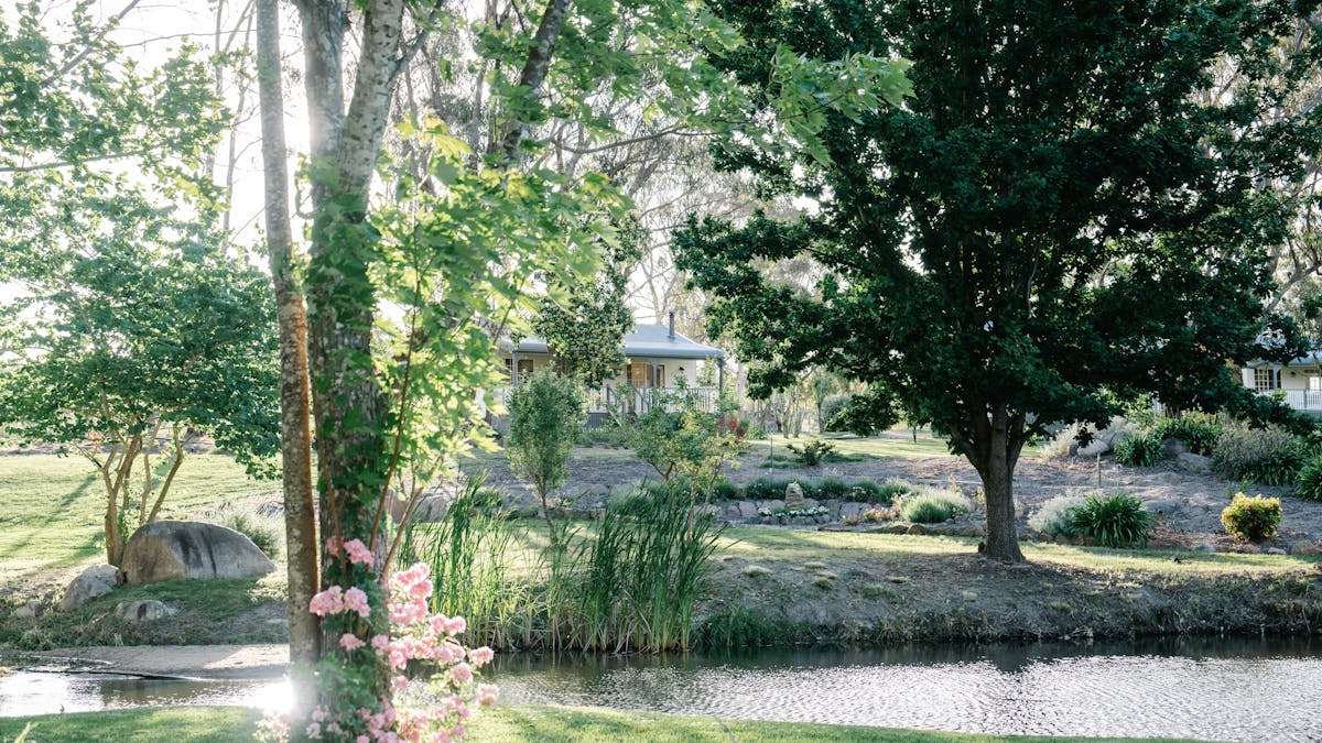 View of the lake from a cottage
