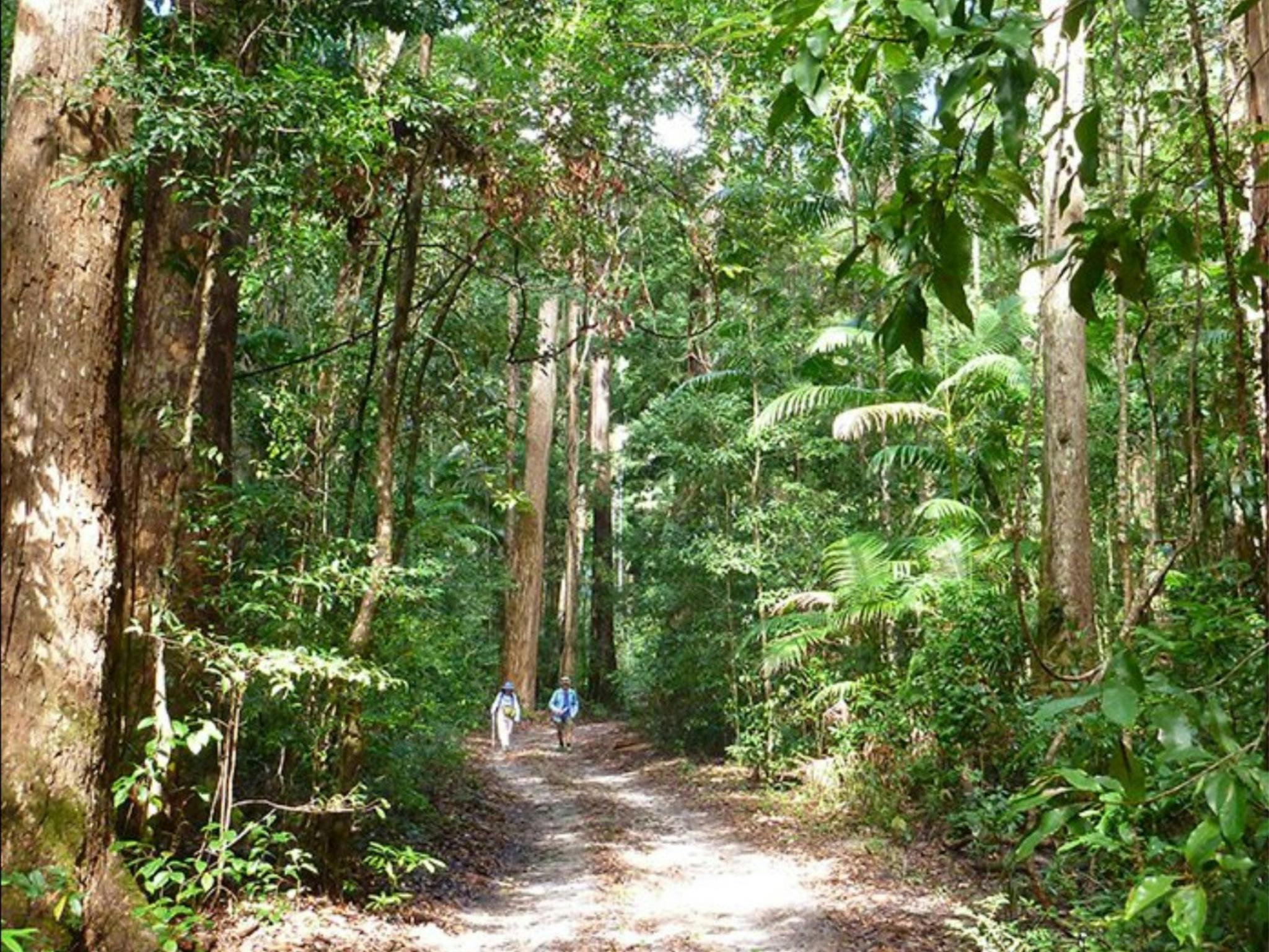 Valley of the Giants