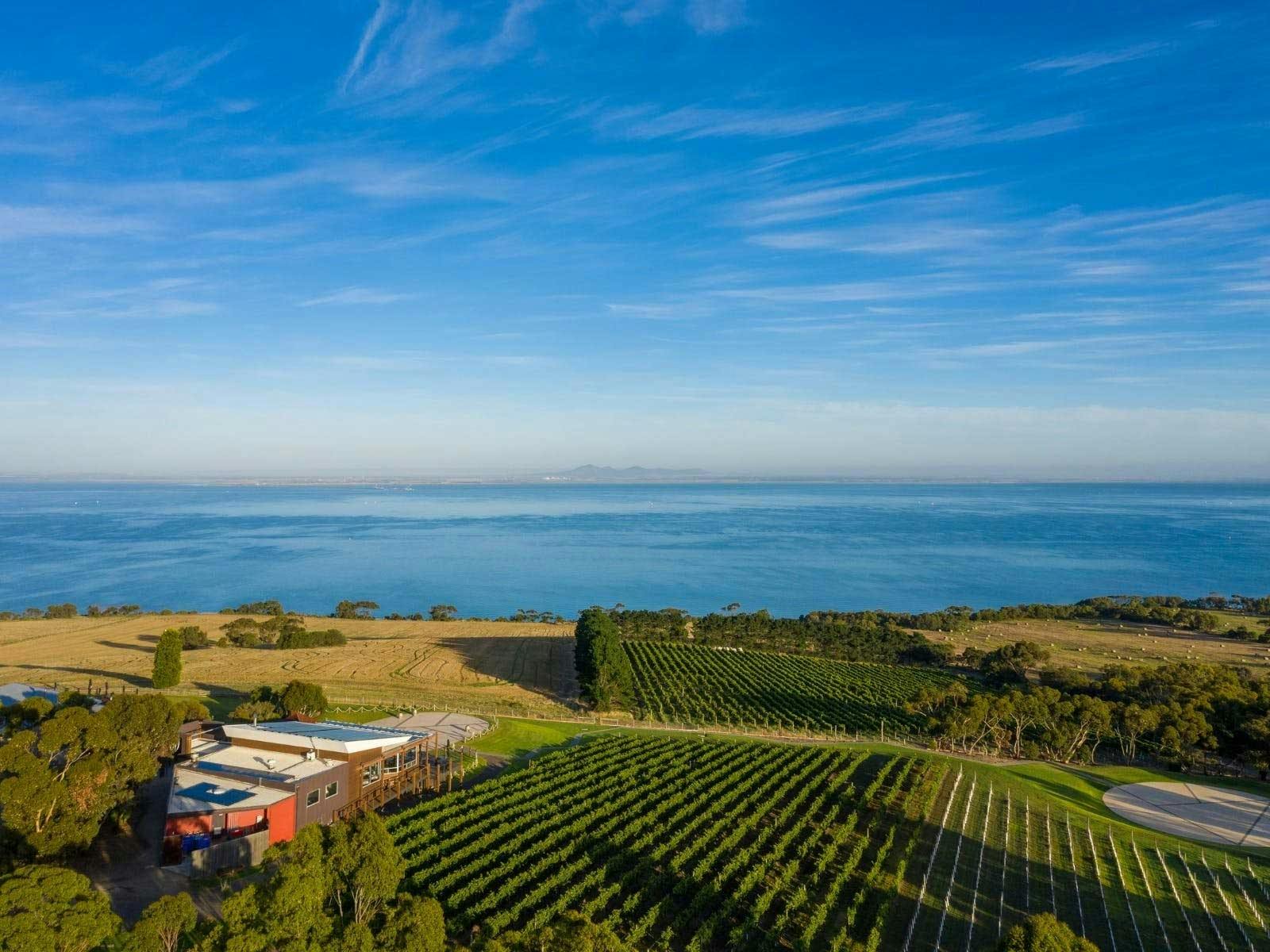 Jack Rabbit Winery Long Leisurely Lunch