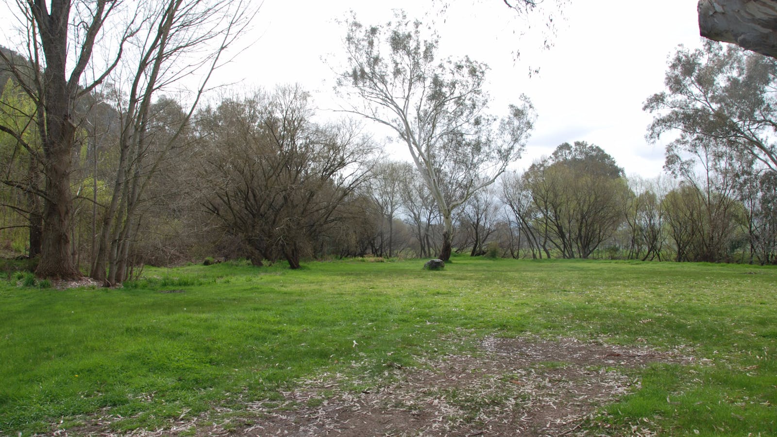 Pigs Point Streamside Reserve