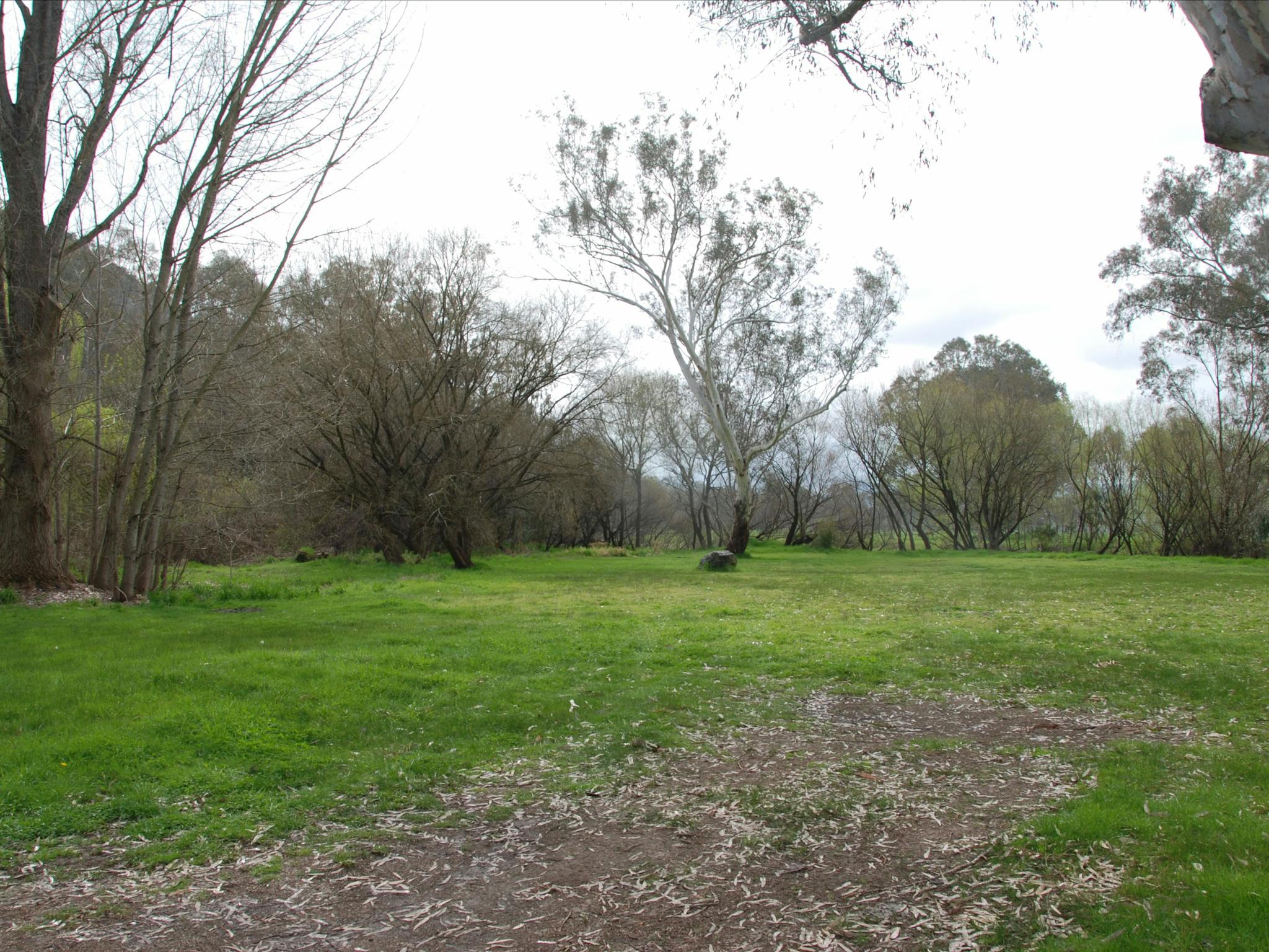 Pigs Point Streamside Reserve