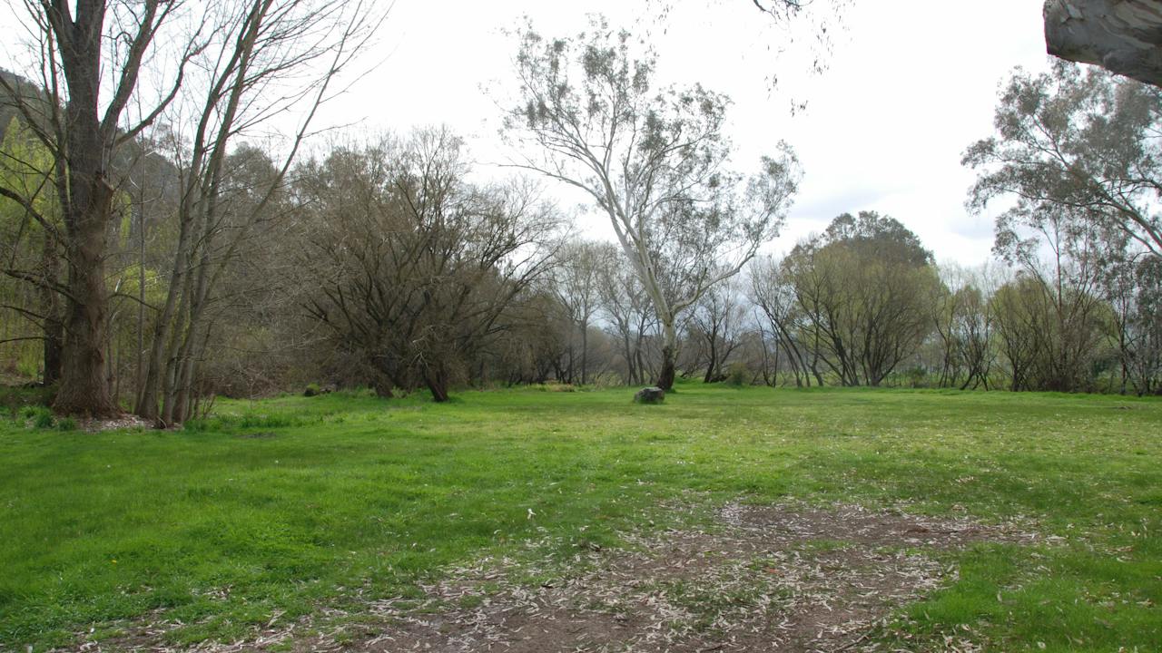 Pigs Point Streamside Reserve