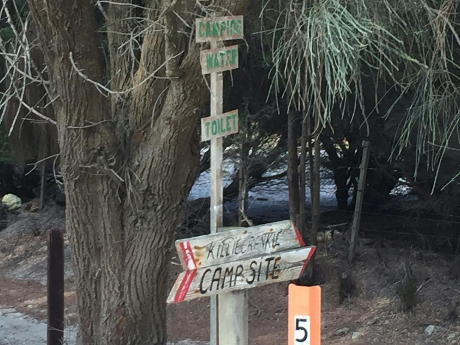 A bush track to Killiecrankie Camp Site Flinders Island Tasmania