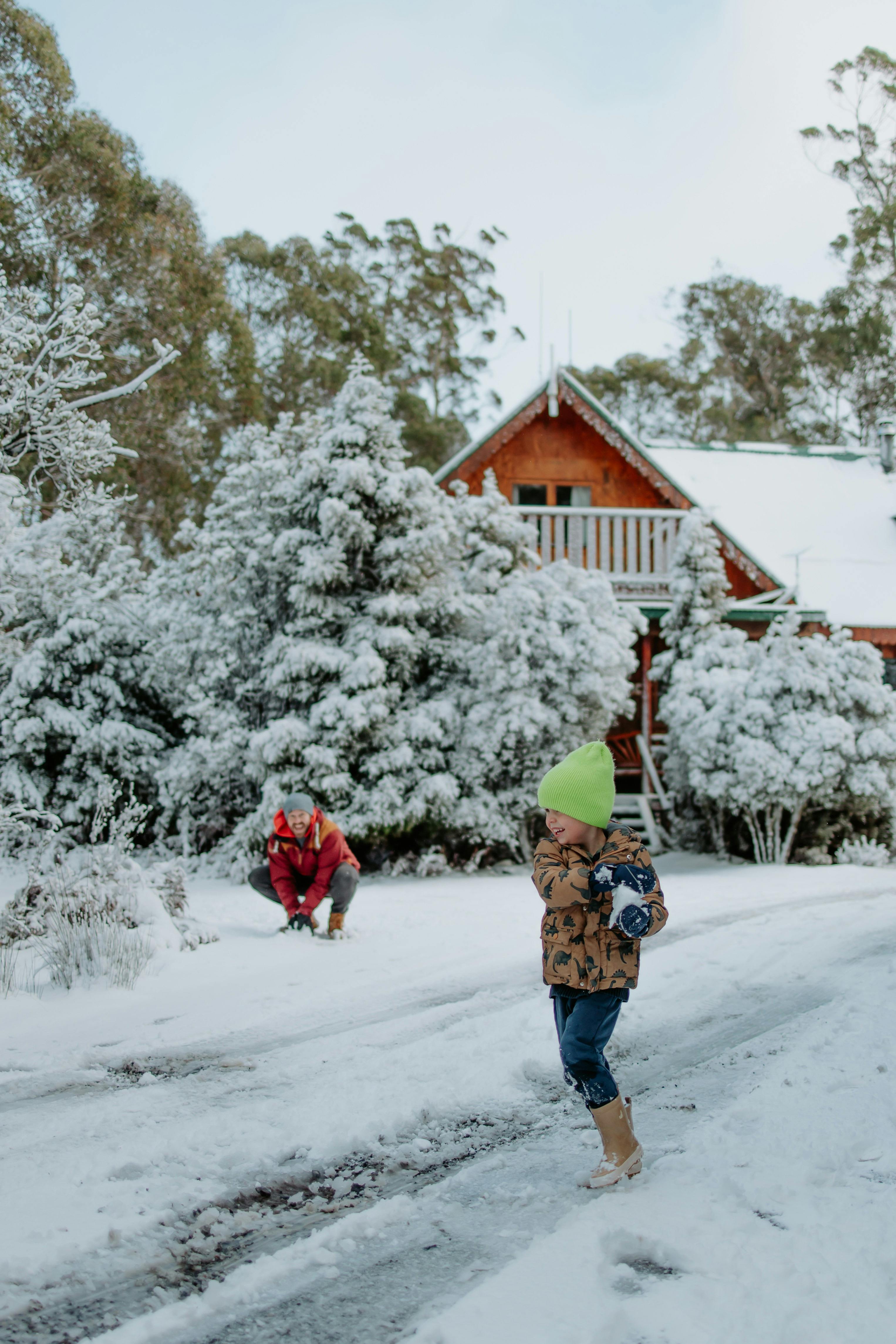 Winter at Cradle Mt: graze and getaway image