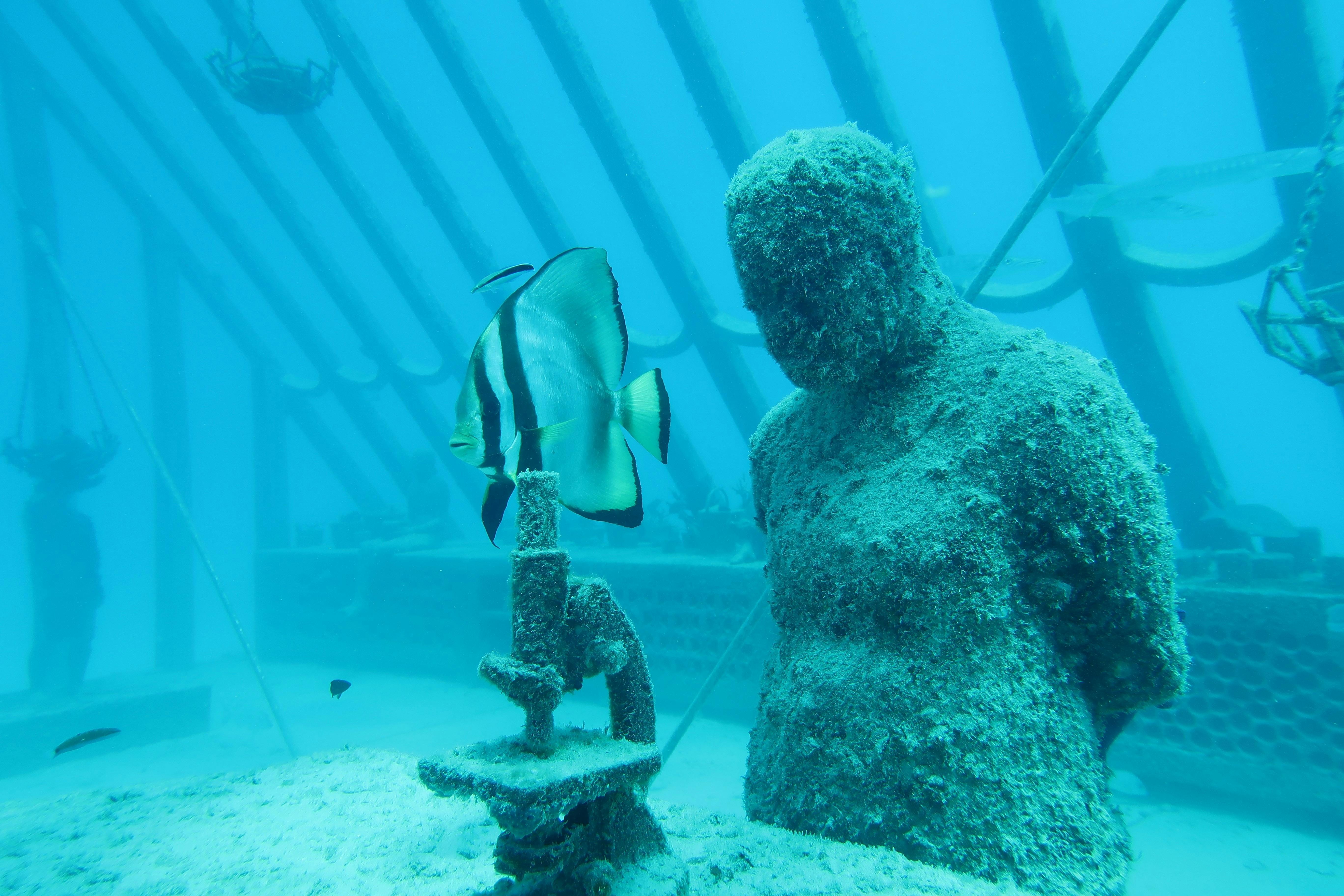 Museum of Underwater Art (MOUA), John Brewer Reef