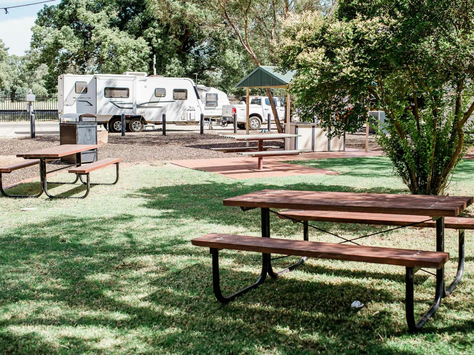 The Ardlethan 'Kelpie' Caravan Park