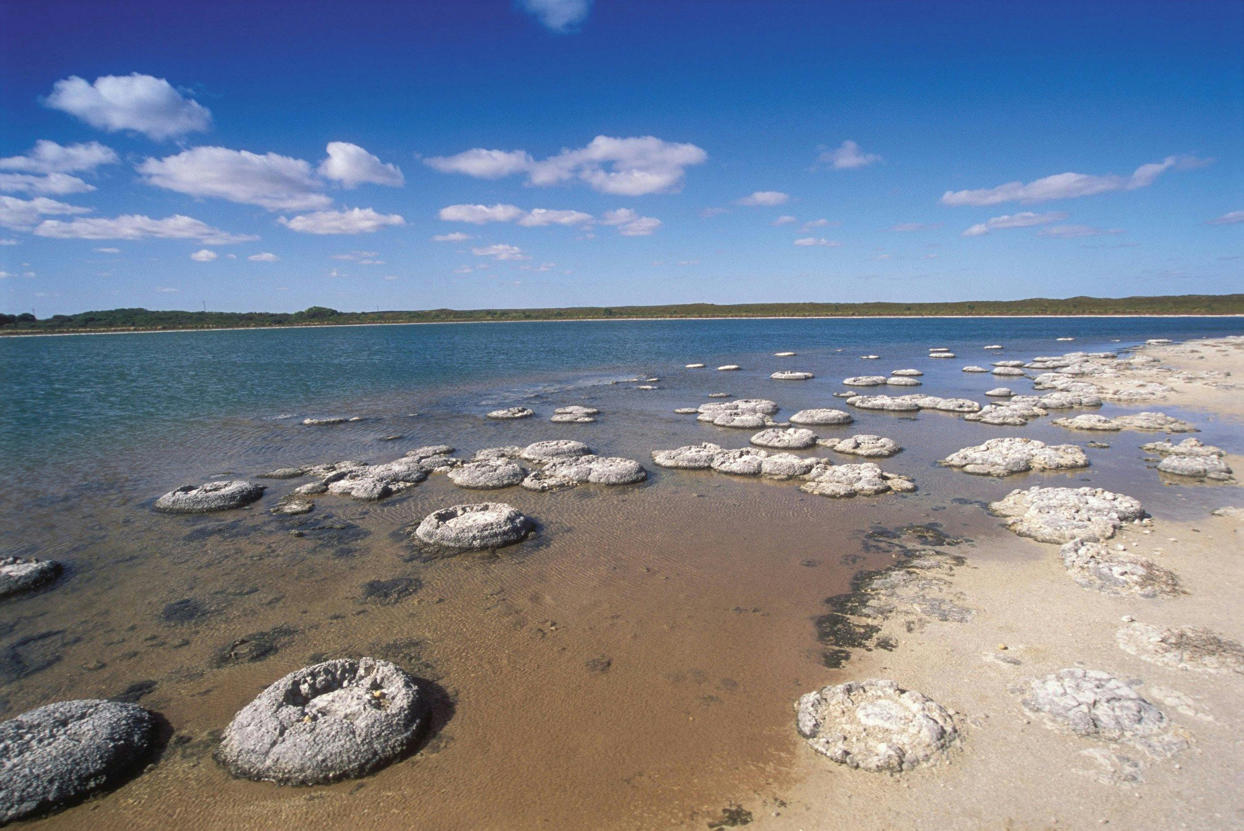 Lake Thetis, Cervantes, Western Australia