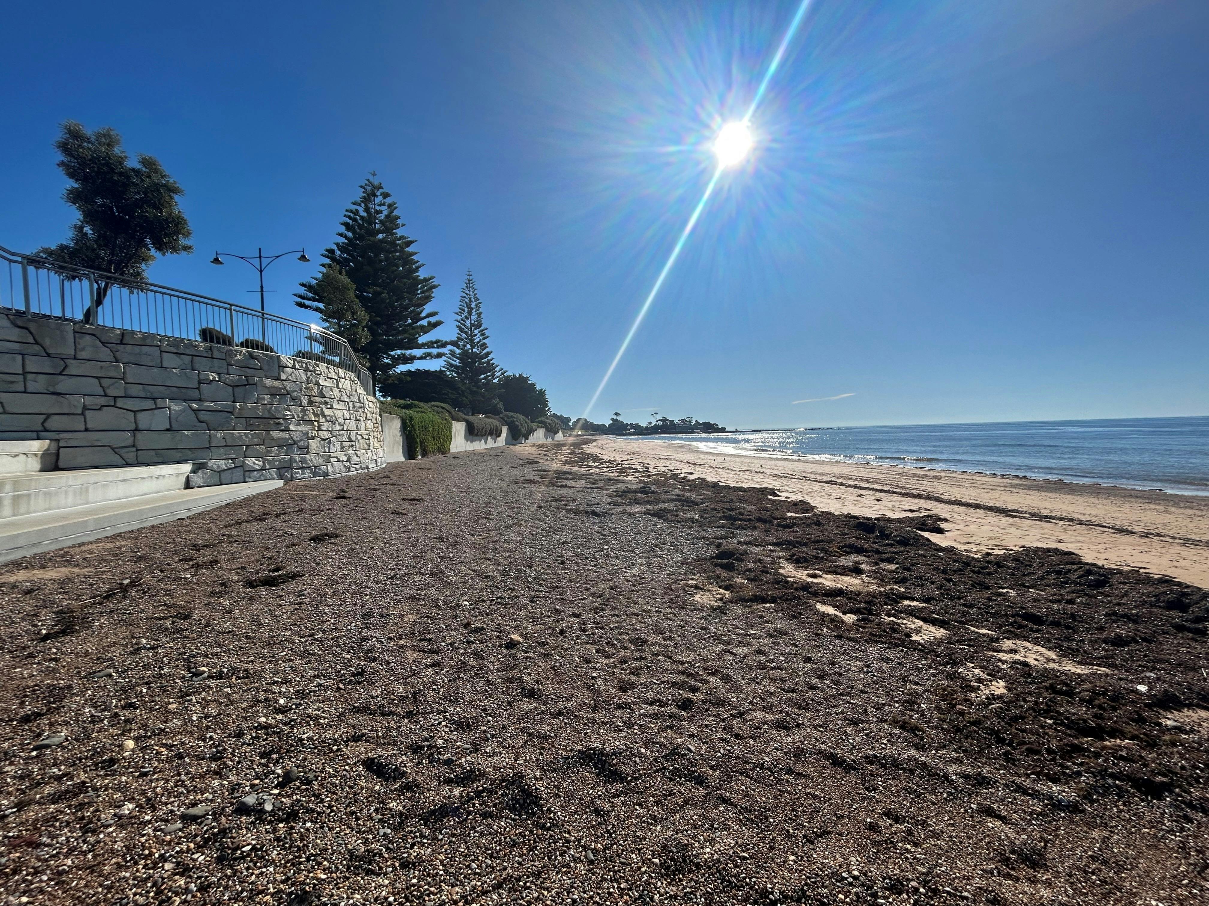 Penguin  Beach Foreshore
