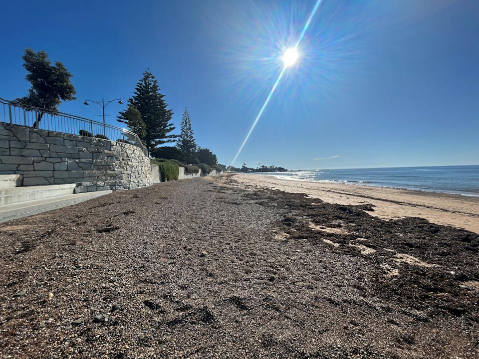 Penguin  Beach Foreshore photo