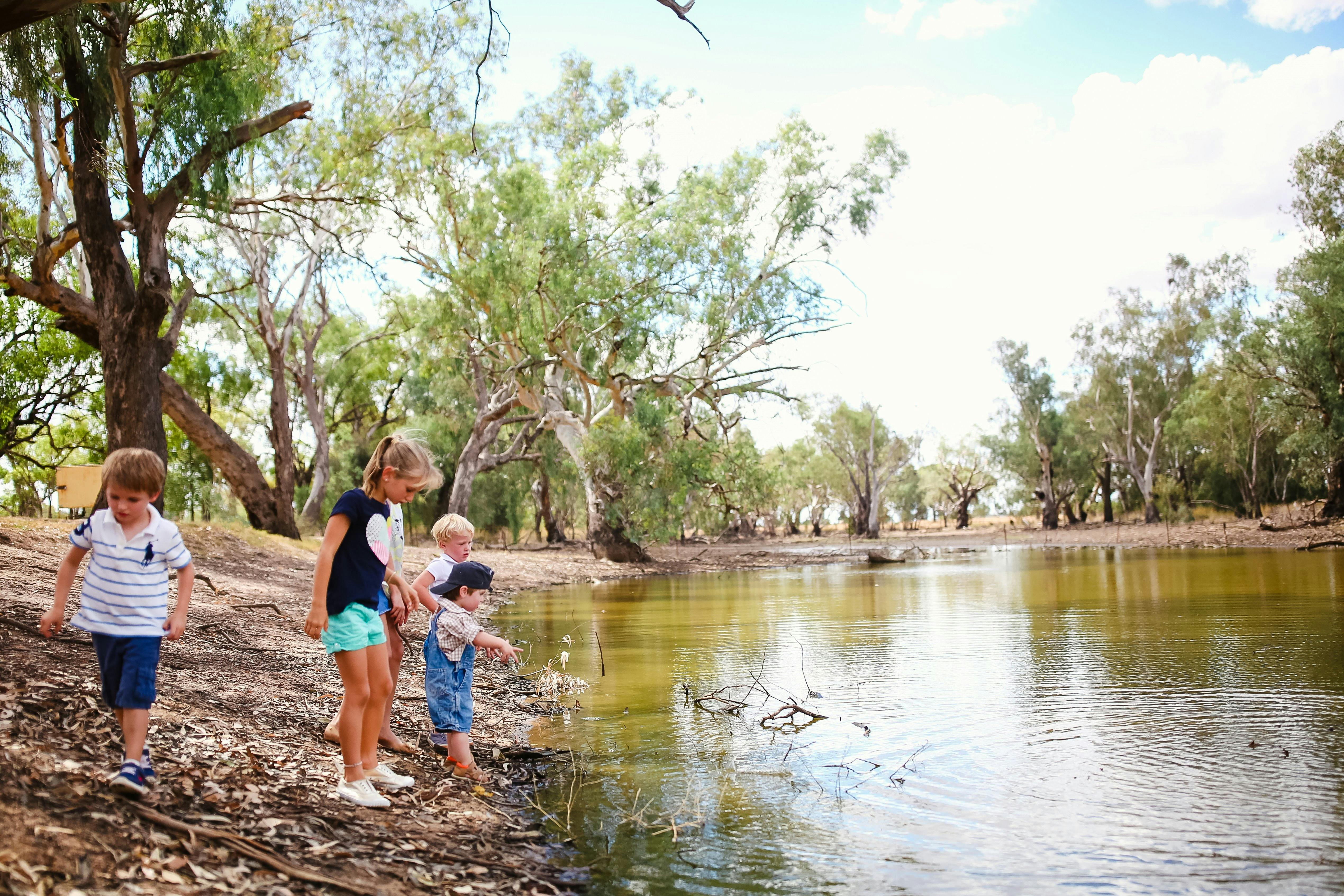 Goan Waterhole Trangie