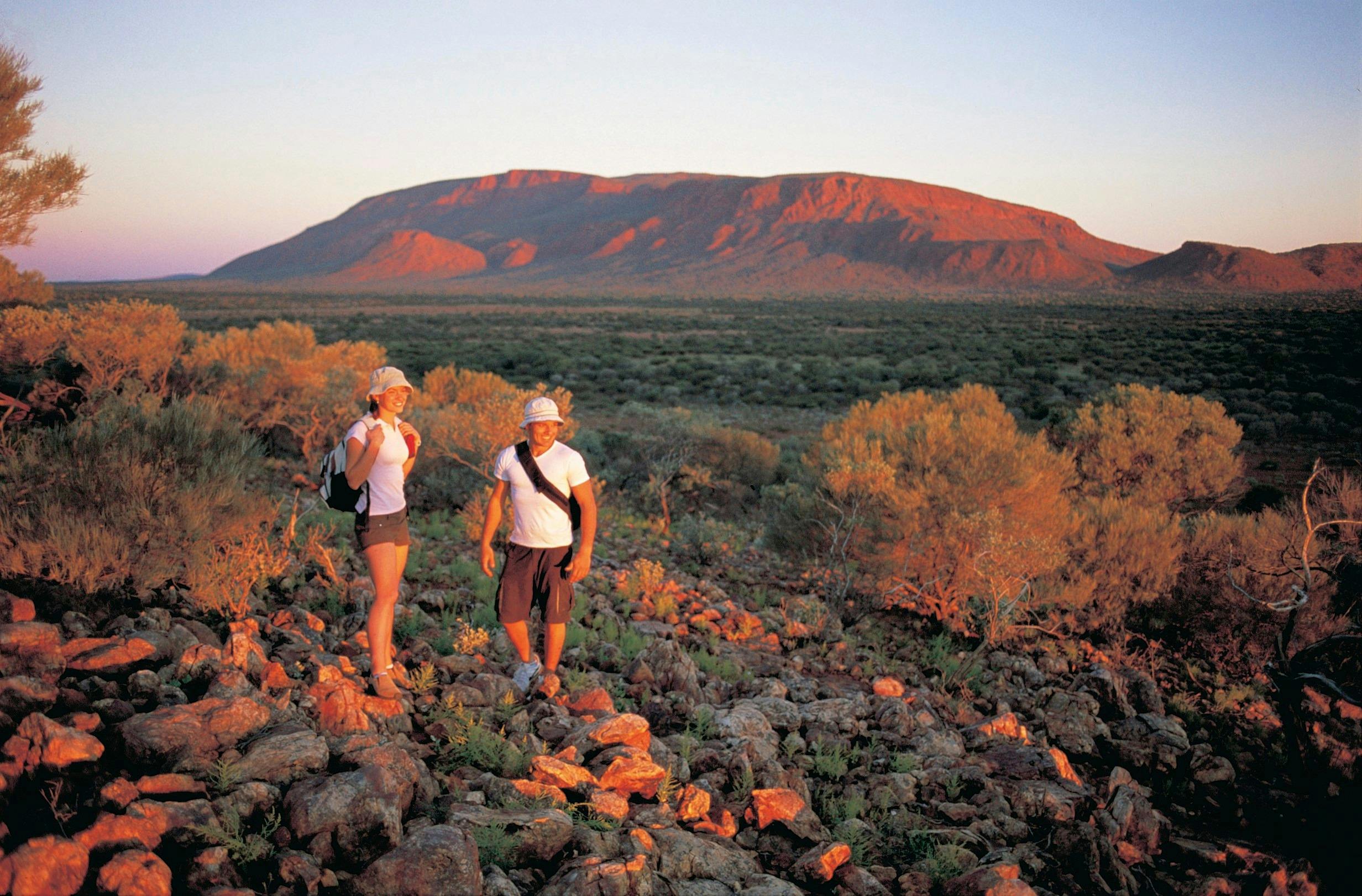 Northern Explorer Wildflower Trail, Gascoyne Junction, Western Australia