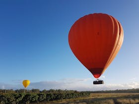 www.hotair.com.au/brisbane