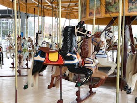 A photo of The Carousel Horses