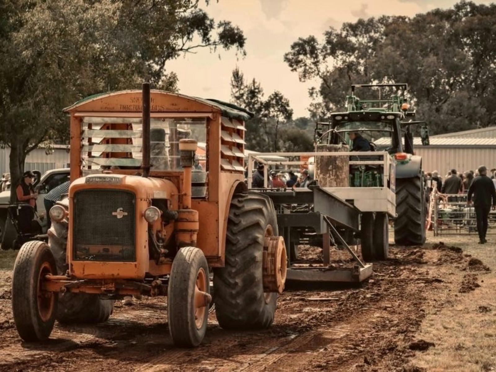Woodstock Memorial Show