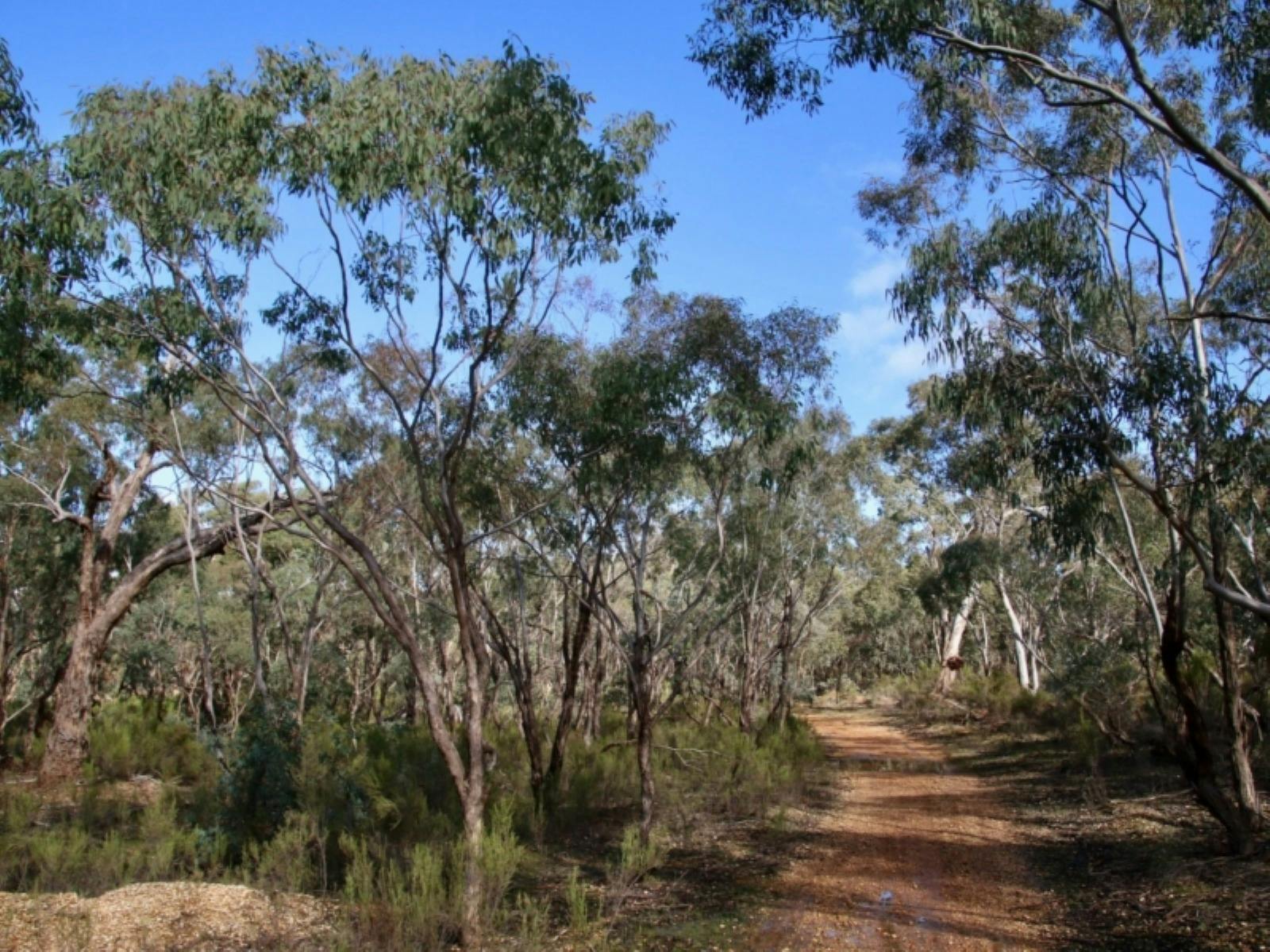 Photo of the Mangalore Walking Trail