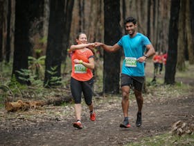 The Trail Running Series presented by The North Face, Race 1, Westerfolds Park