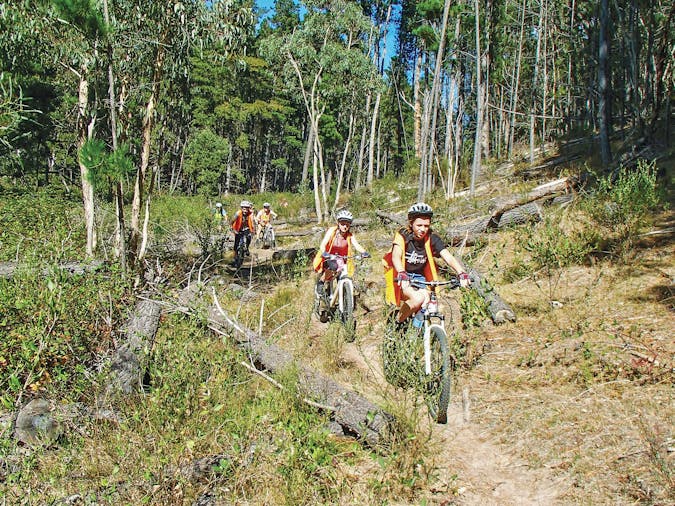 MTB Navigation Treasure Hunt