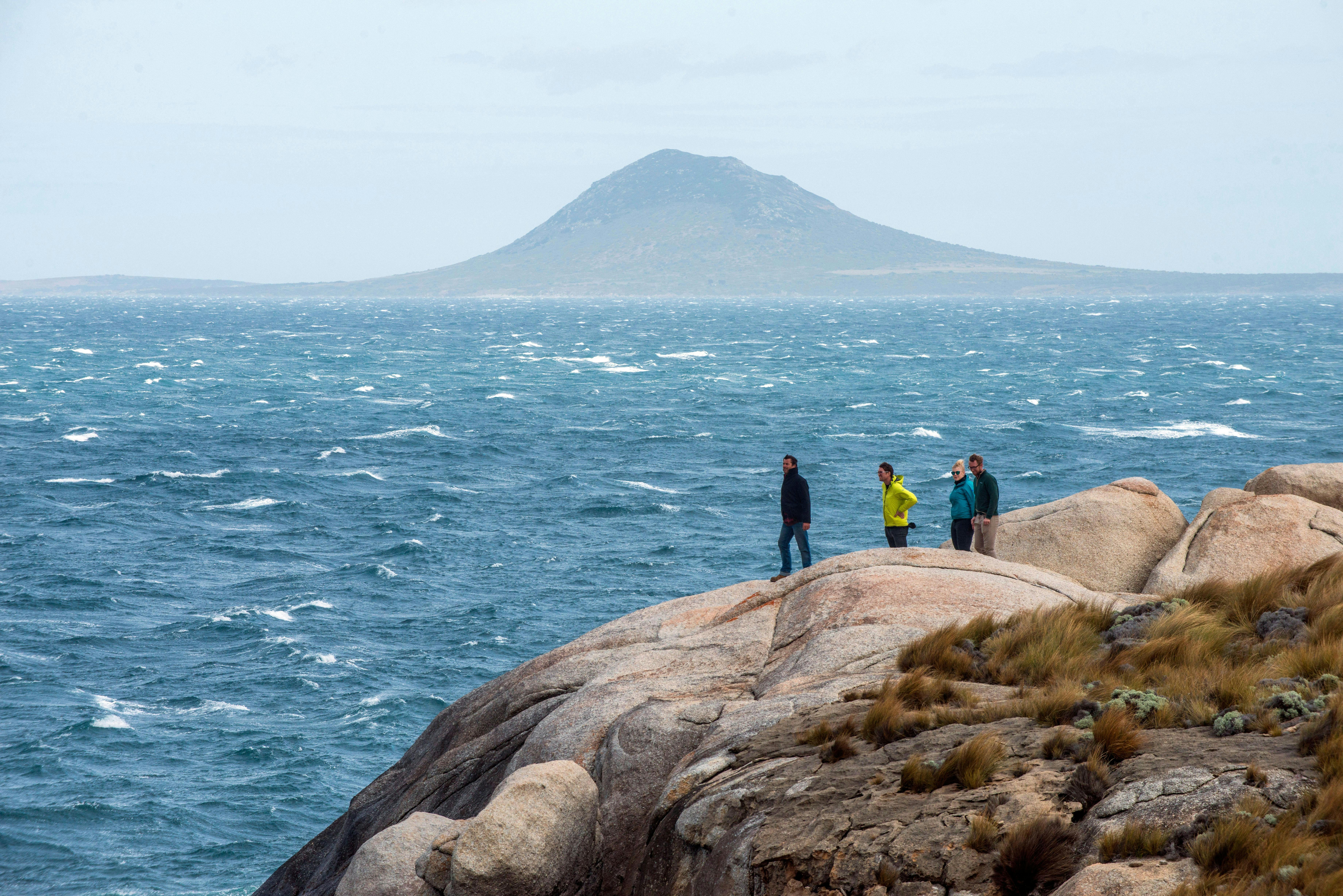 Strzelecki National Park
