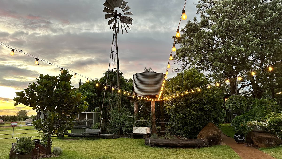Twinkling lights at the farm.