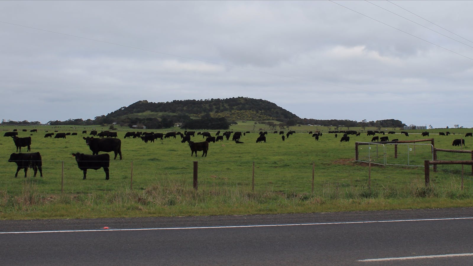 Mount Schank - Volcano Walk (State Heritage Area)
