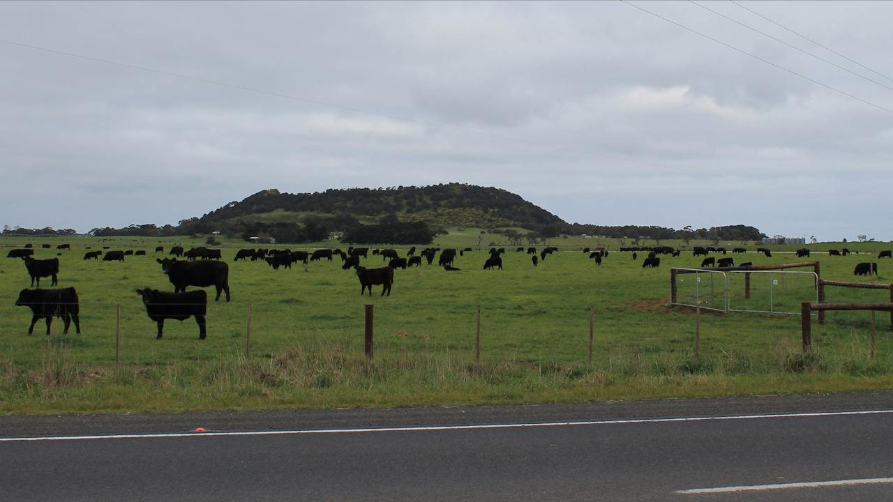 Mount Schank - Volcano Walk (State Heritage Area)
