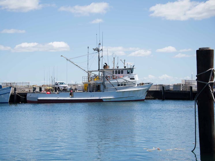 Trawler in Port Stephens