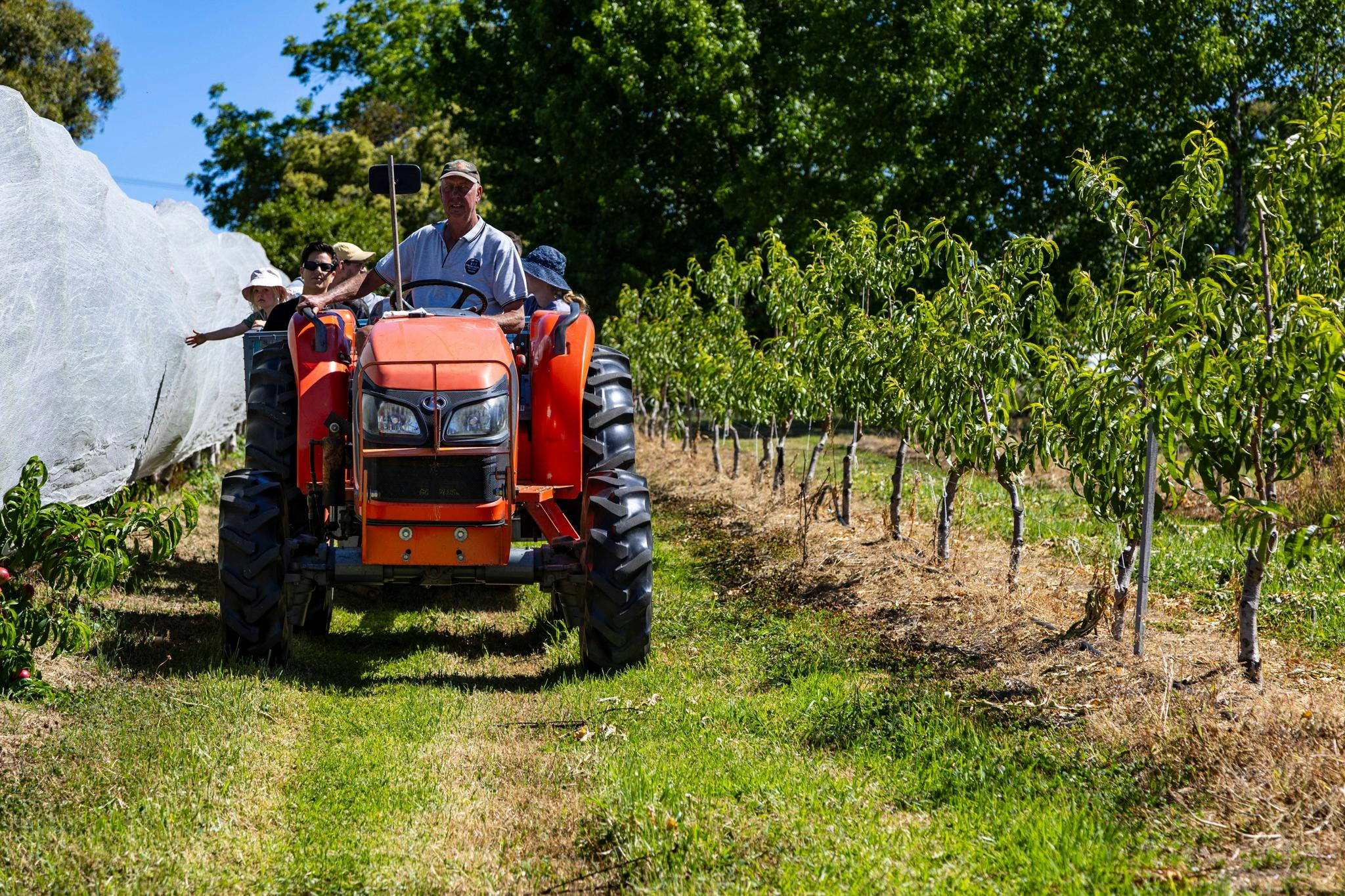乘坐拖拉機遊覽果園