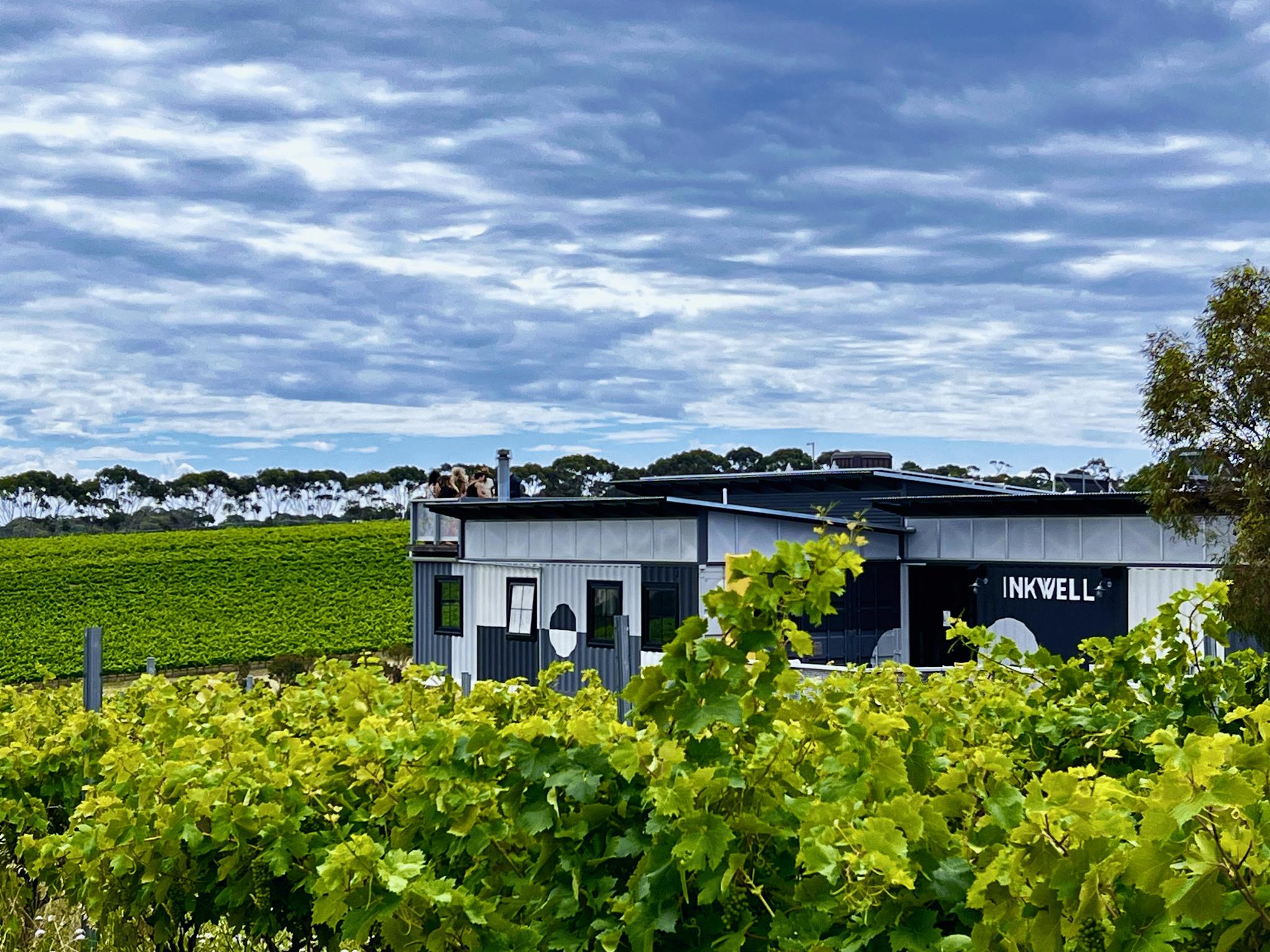Wine tasting room among vines