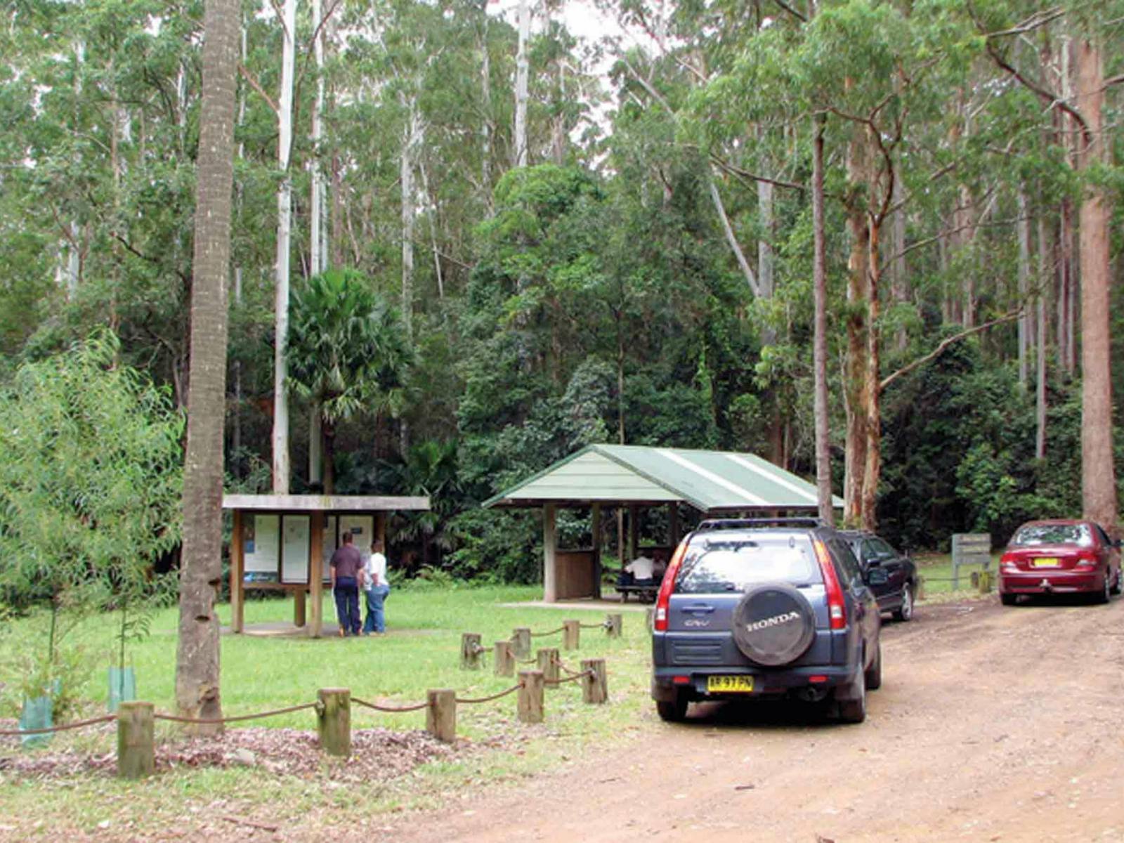 Wallingat Forest Drive, Wallingat-Nationalpark. Foto: Ian Charles/NSW-Regierung