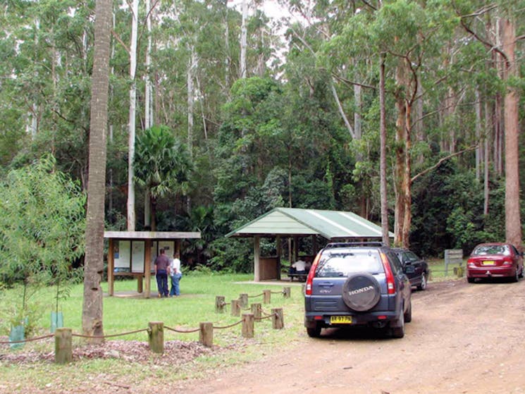 Wallingat Forest drive, Wallingat National Park. Photo: Ian Charles/NSW Government