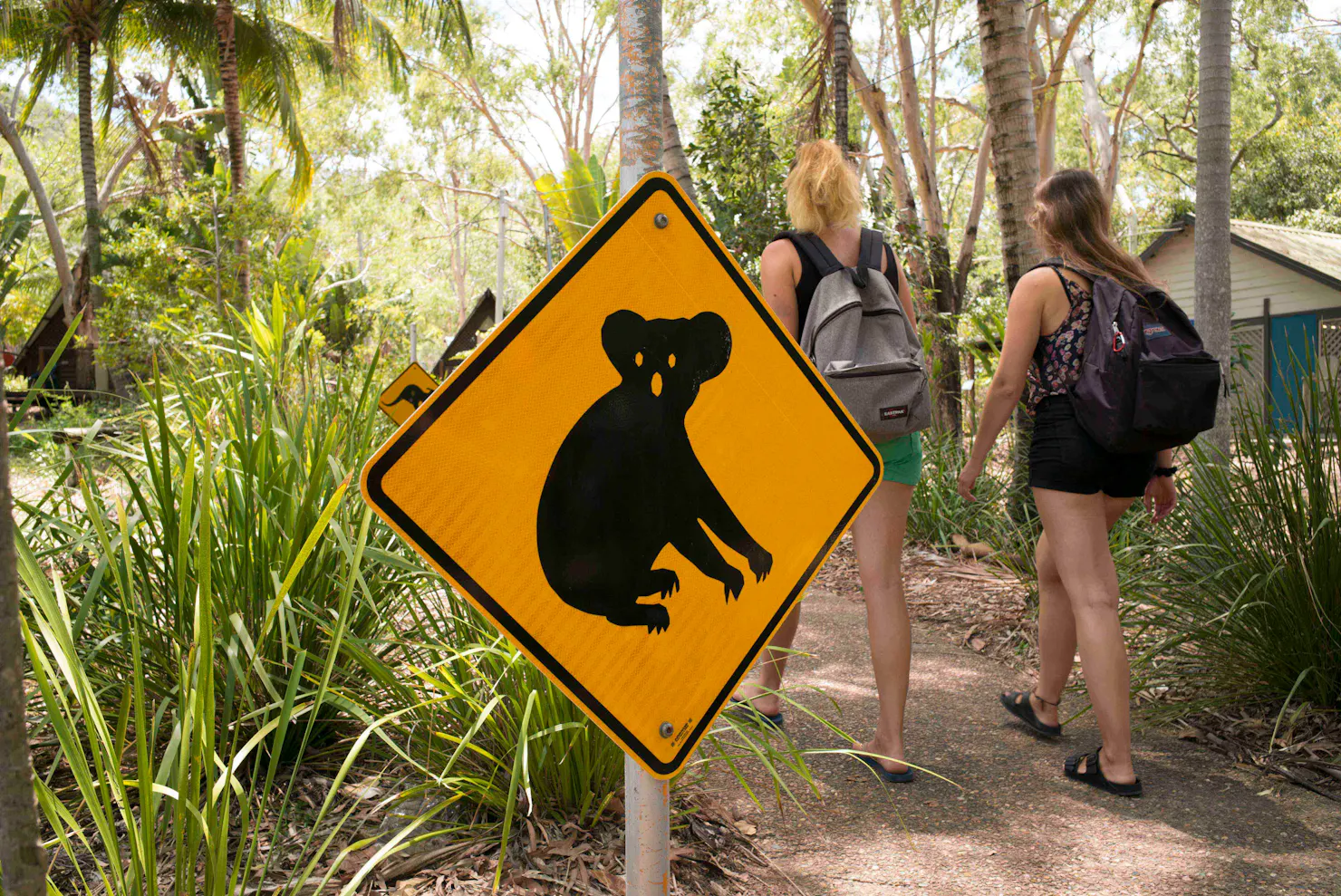 The property is set on six acres adjacent to the national park with abundant willdife to meet.