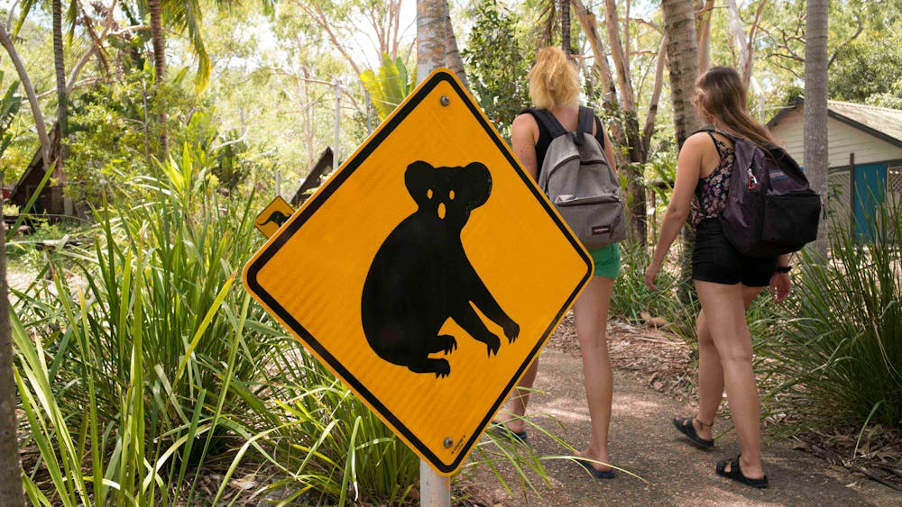 Bungalow Bay Koala Village